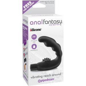 Stimulateur de prostate REACH AROUND Anal Fantasy 10 x 3 cm