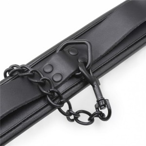 Collier rembourré + Laisse noir