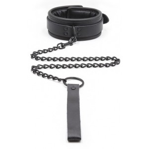 Collier rembourré + Laisse noir