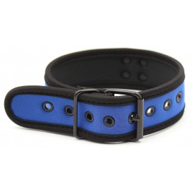 Collier PUPPY en néoprène Coloris Bleu 2