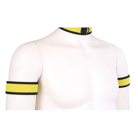 Brassards PUPPY en néoprène Couleur Jaune