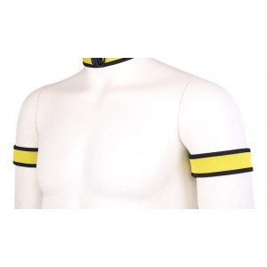 Brassards PUPPY en néoprène Couleur Jaune