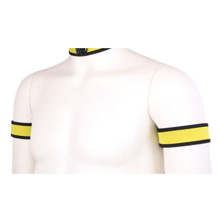 Brassards PUPPY en néoprène Couleur Jaune