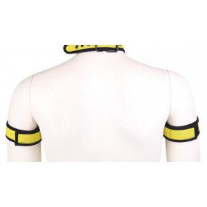 Brassards PUPPY en néoprène Couleur Jaune