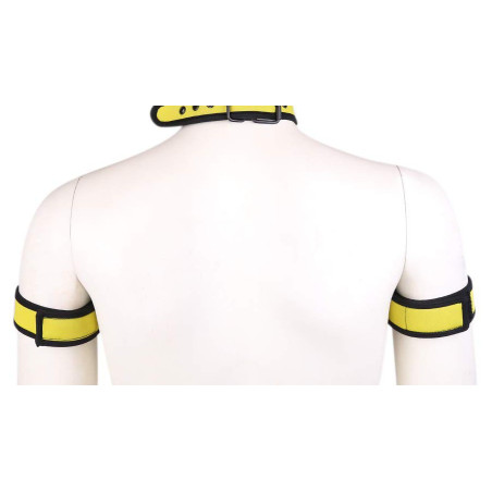 Brassards PUPPY en néoprène Couleur Jaune