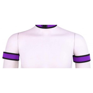 Brassards PUPPY en néoprène de couleur Violet