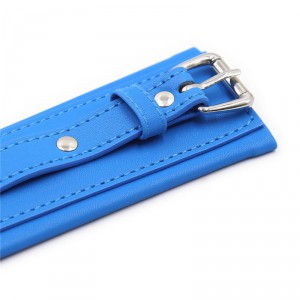 Menottes Bleues