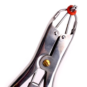 Pince pour Élastiques de Torture