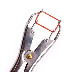 Pince pour Élastiques de Torture