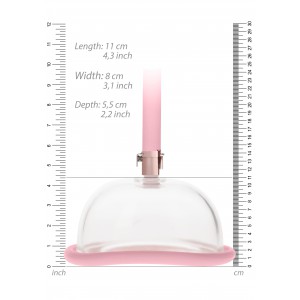 Pompe à vagin - Rose Gold