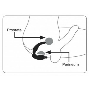 Stimulateur prostate Naughty Boy de Rocks off 7 vibrations