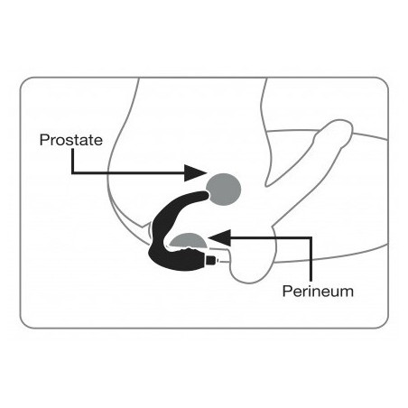 Stimulateur prostate Naughty Boy de Rocks off 7 vibrations