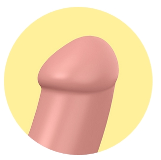 Extrémité du vibro Master Extrémité du vibro Master
